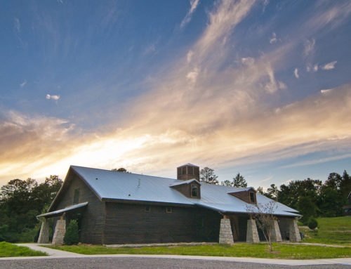 Talisi Cove Amenities & Updates