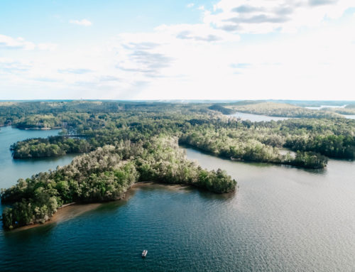 Kennebec Design Principle #6 – Use Native Materials and Neutral Colors