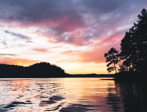 Coosa Run is Now OPEN!