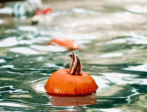 Design Spotlight: O’Kelley Architecture