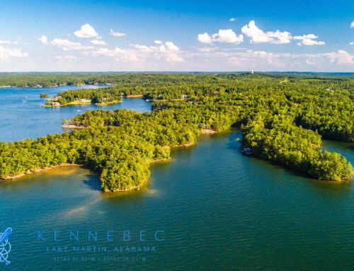 Introducing the Exclusive Realtor for Kennebec, Miller Dark.